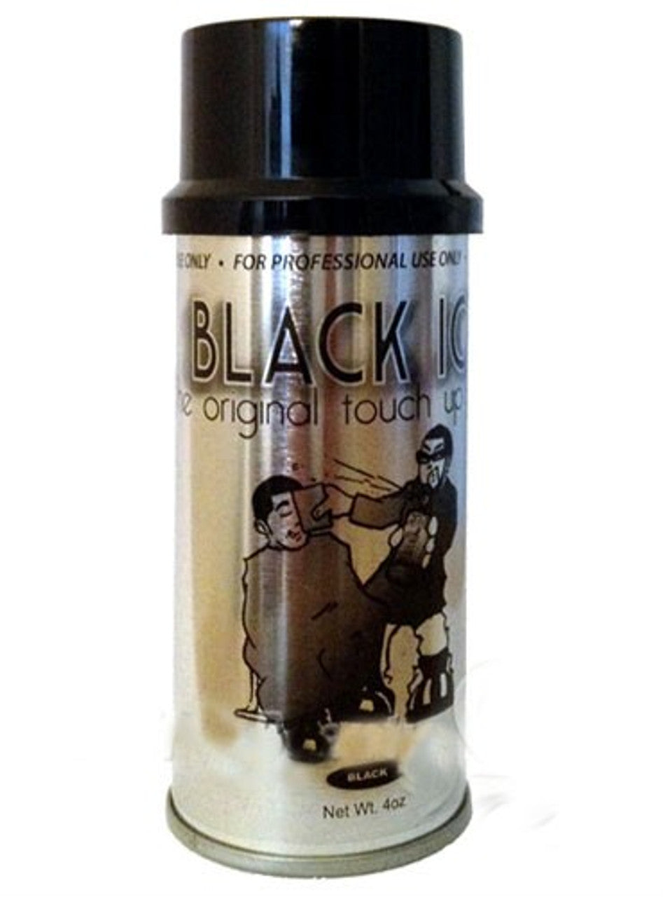 Black Ice Touch Up Spray (Black)