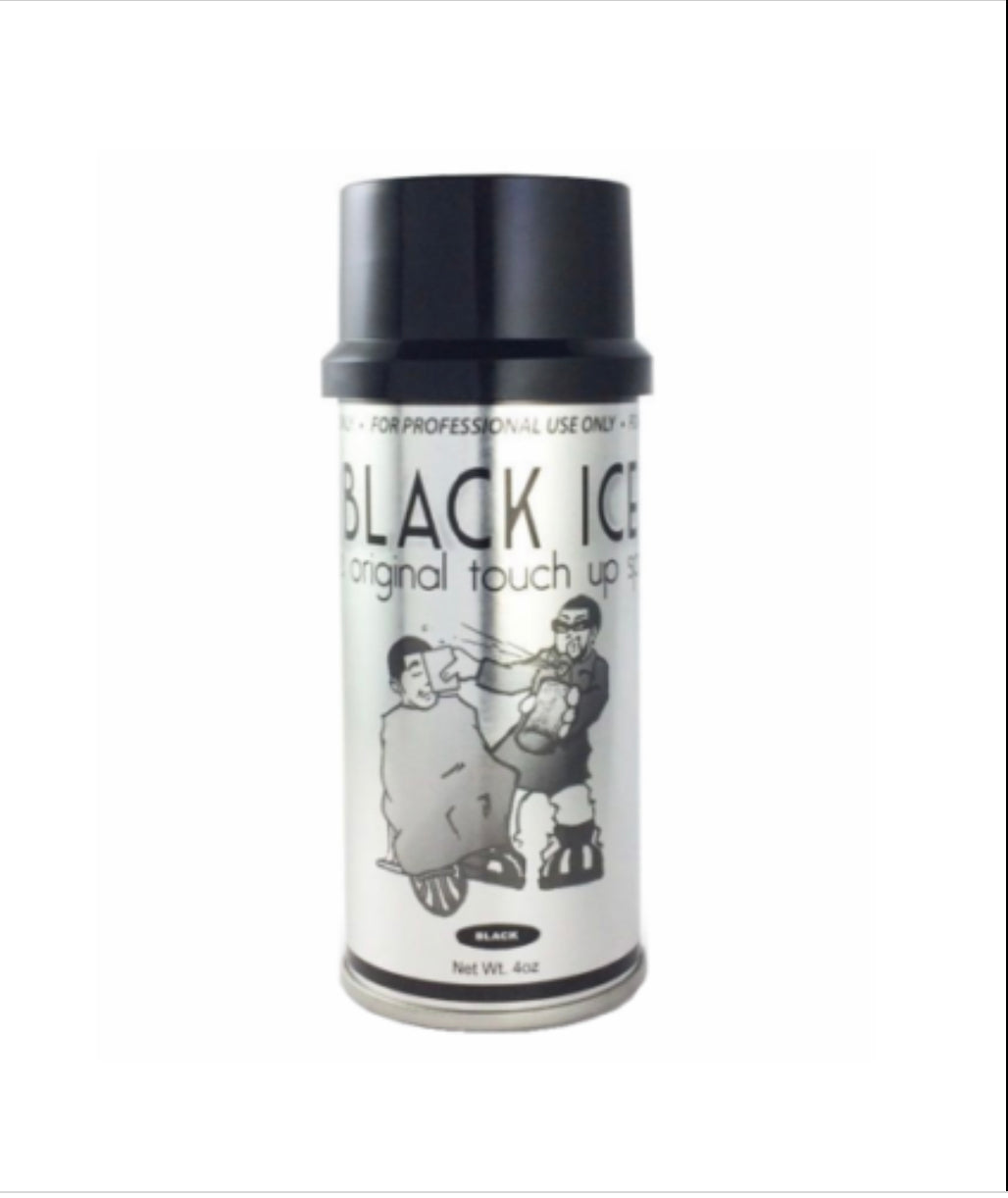 Black Ice Touch Up Spray (Black)