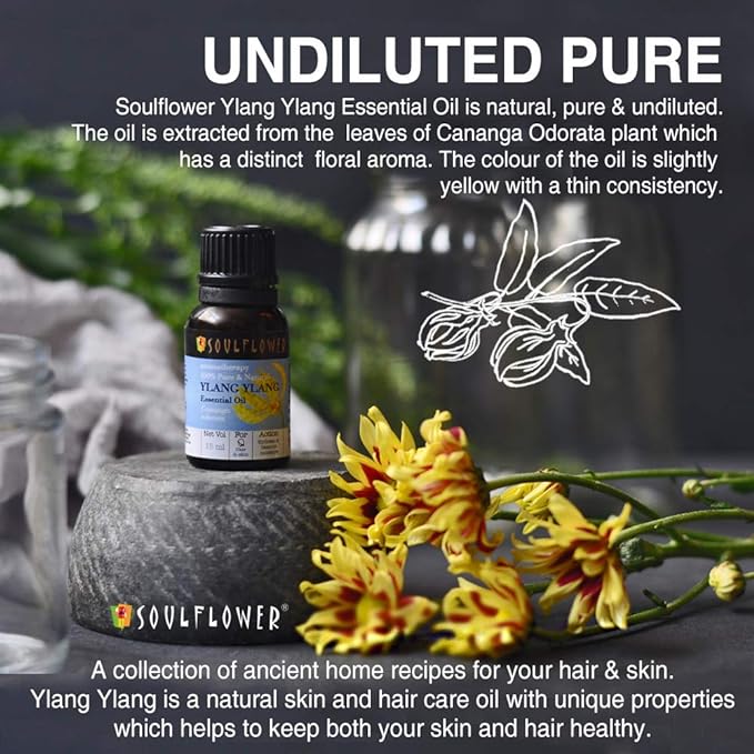 Sunflowers Body Oil - Ylang Ylang .5Oz